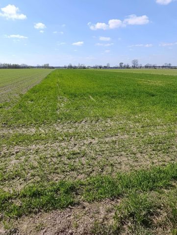 Działka rolna Radoszewice. Zdjęcie 1