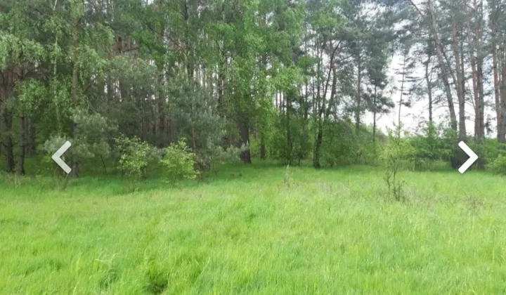 Działka rolna Trzebule