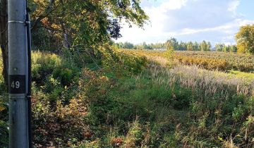 Działka Lipsko-Polesie