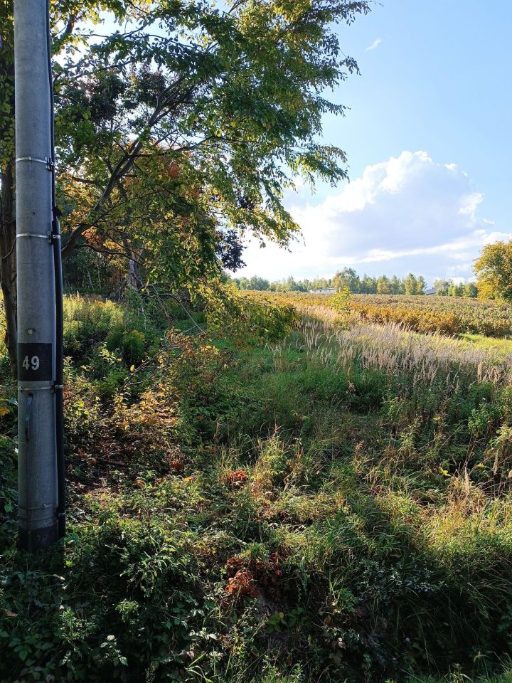 Działka Lipsko-Polesie. Zdjęcie 2