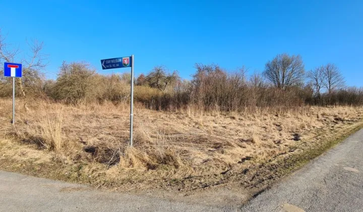 Działka budowlana Stary Wielisław