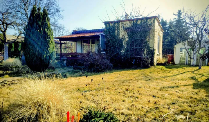 Działka rod Kalisz, ul. Złota