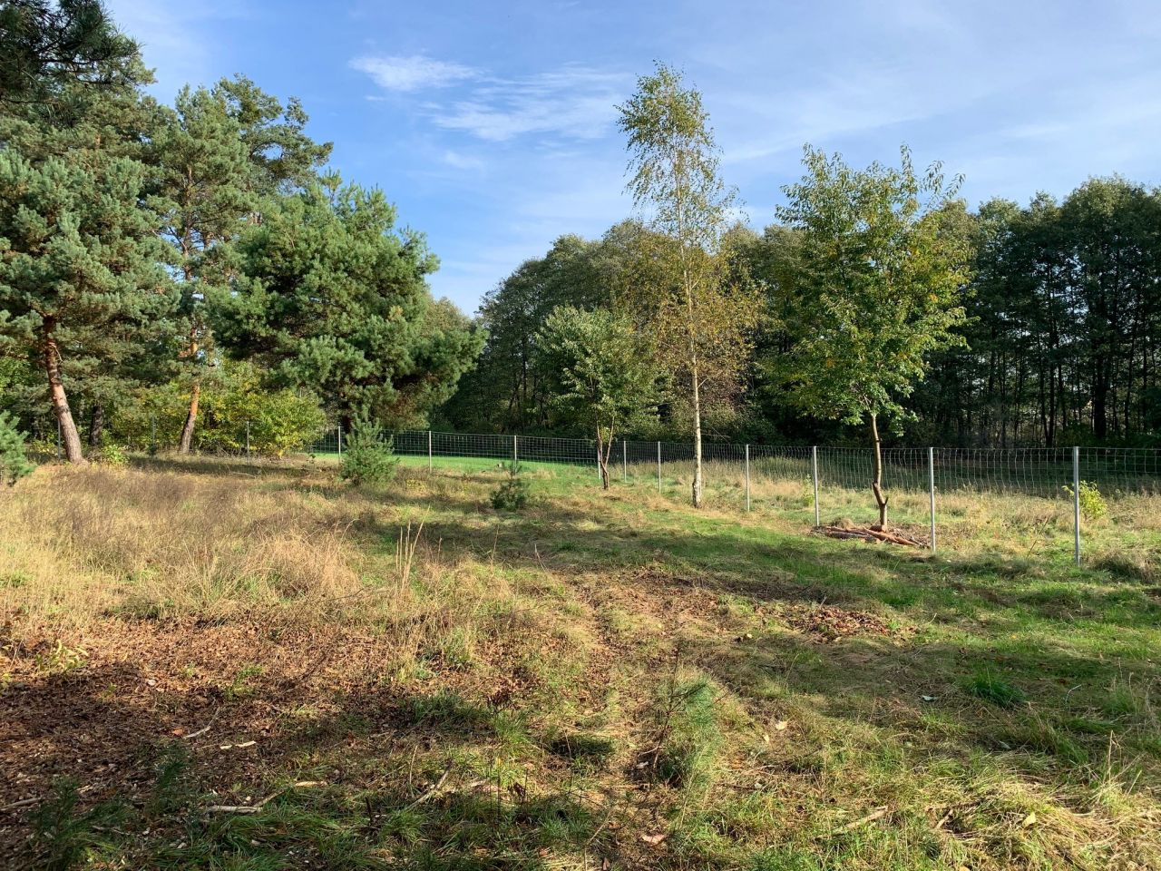 Działka rolno-budowlana Ostrowo. Zdjęcie 4