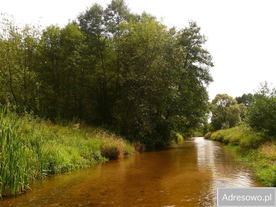 Działka rolno-budowlana Zakrucze. Zdjęcie 8