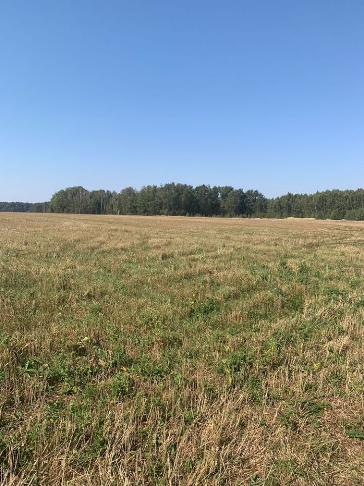 Działka rolna Głazów. Zdjęcie 7