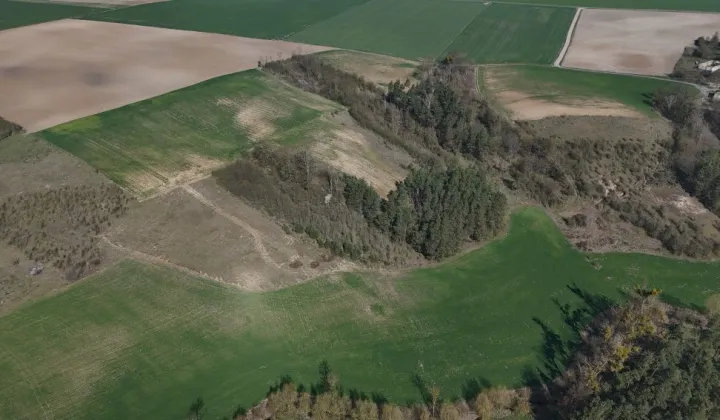 Działka rolna Rybieniec