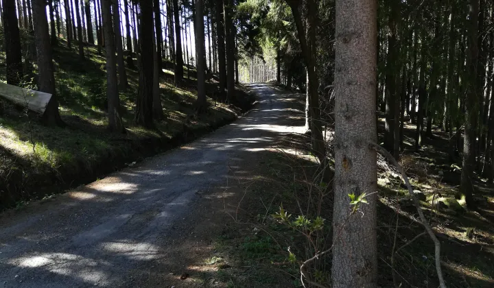 Działka inwestycyjna Karpacz Bierutowice, ul. Wita Stwosza