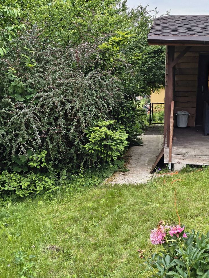 Działka rod Grudziądz, ul. Kwidzyńska. Zdjęcie 6