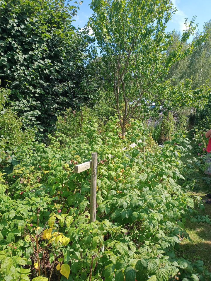 Działka rekreacyjna Wrocław Bierdzany, ul. Nizinna. Zdjęcie 20