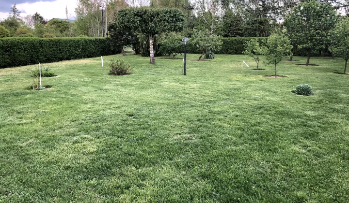 Działka budowlana Michałów-Grabina, ul. Wierzbowa