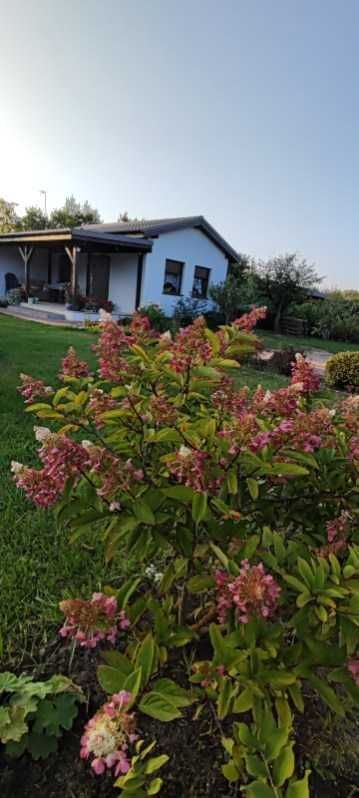 Działka rod Biedrusko. Zdjęcie 4