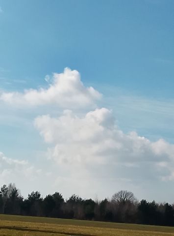 Działka rolno-budowlana Pilichowice. Zdjęcie 7