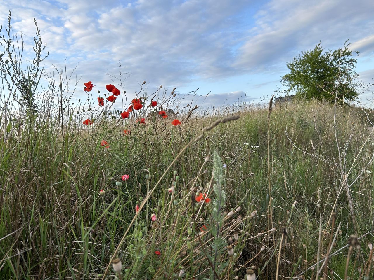dom wolnostojący, 4 pokoje Drawsko Pomorskie, Nieokreślona. Zdjęcie 33