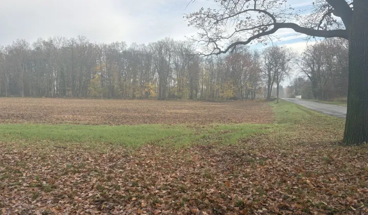 Działka budowlana Otmuchów, ul. Lipowa