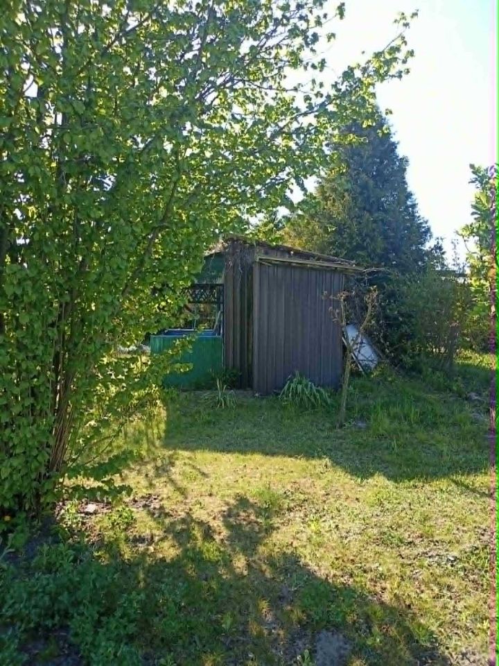 Działka rod Ciechanów. Zdjęcie 4