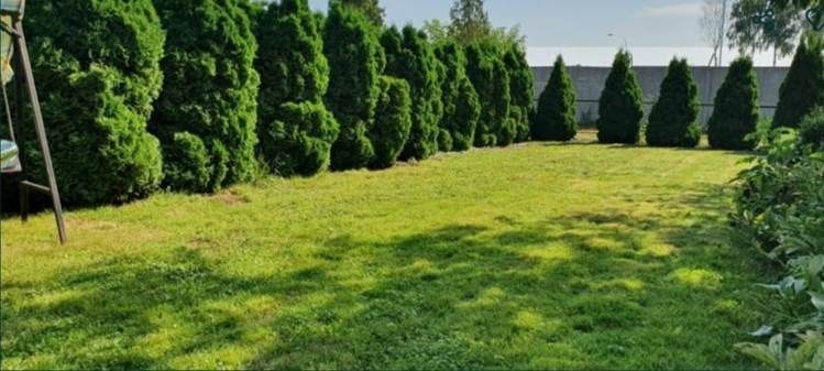 Działka rod Ostrów Wielkopolski, ul. Kaliska. Zdjęcie 6