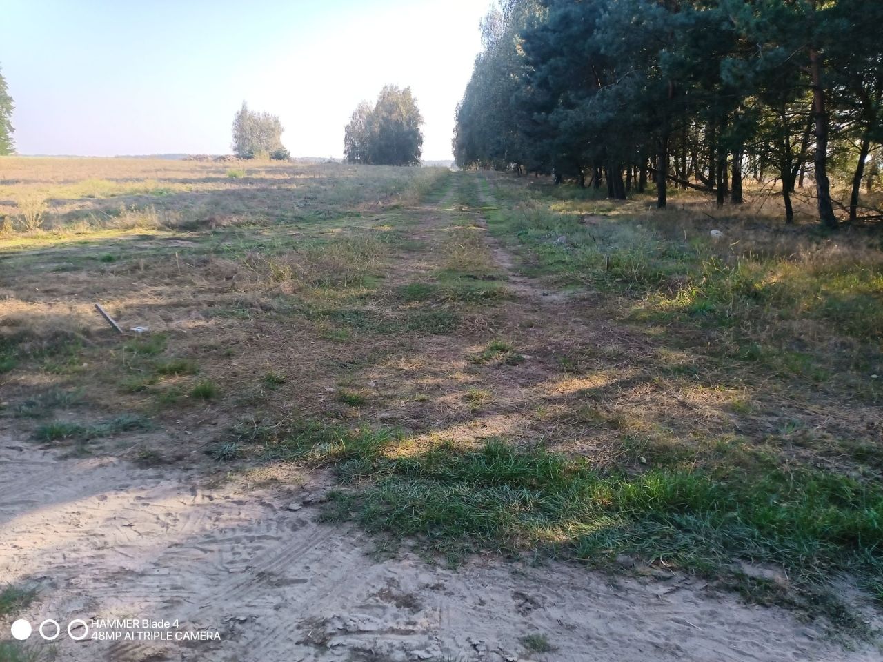 Działka budowlana Kowale Księże. Zdjęcie 3