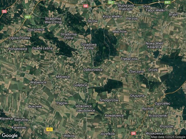 Mieszkanie 2-pokojowe Dalborowice. Zdjęcie 1