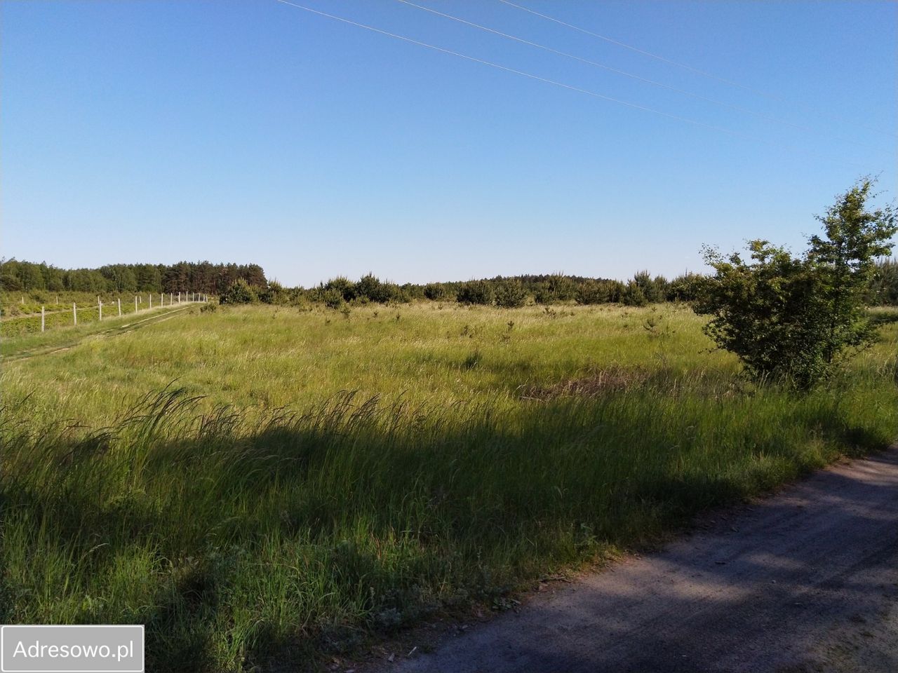 Działka rolno-budowlana Chłopowo. Zdjęcie 16