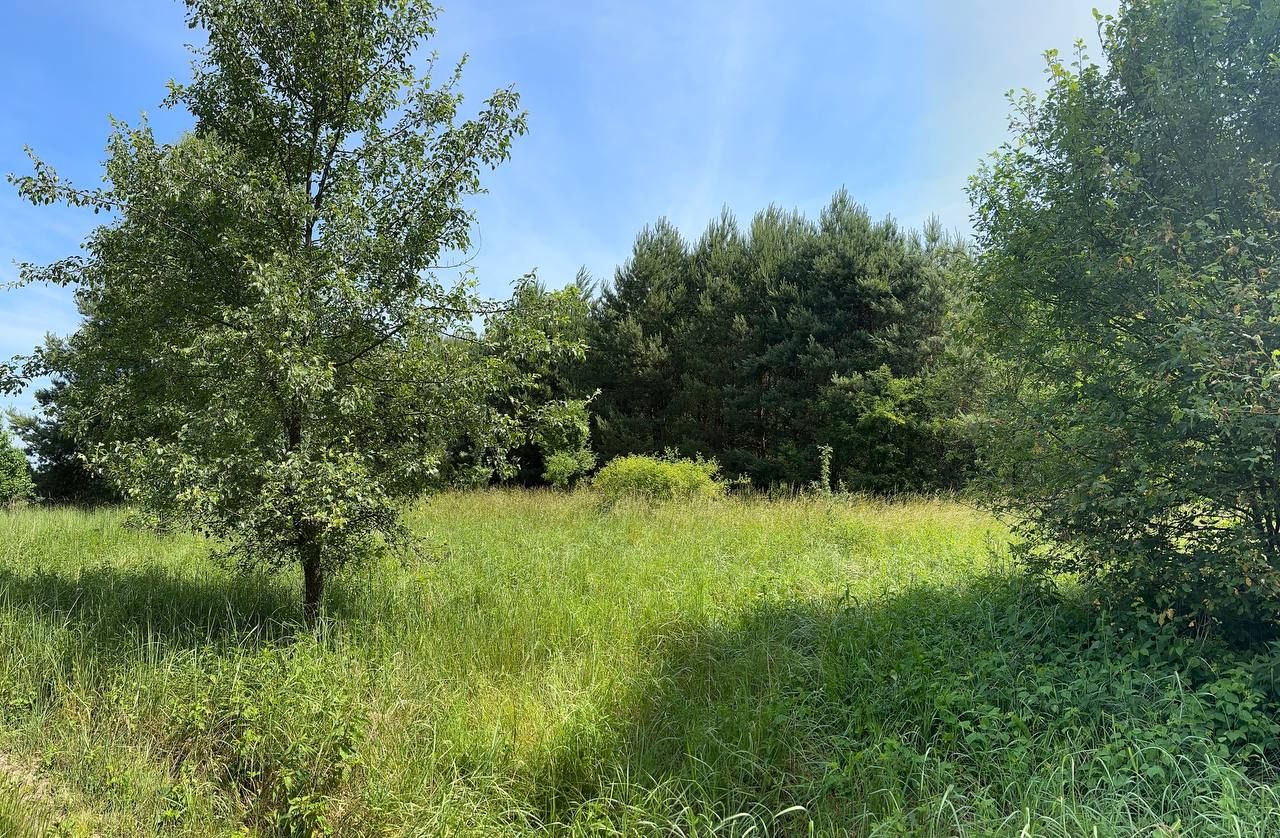 Działka rolna Trzebule. Zdjęcie 2
