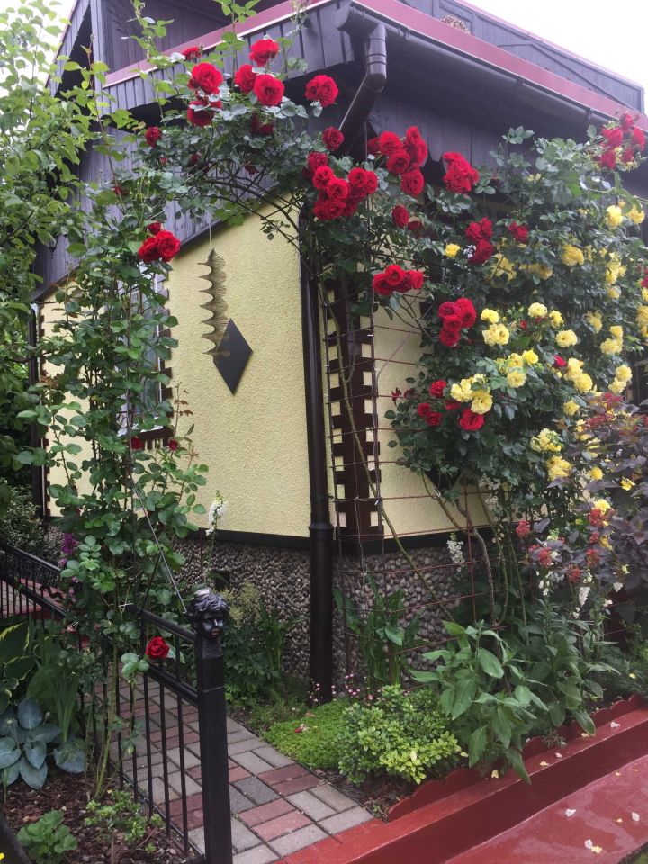 Działka rod Iława. Zdjęcie 8