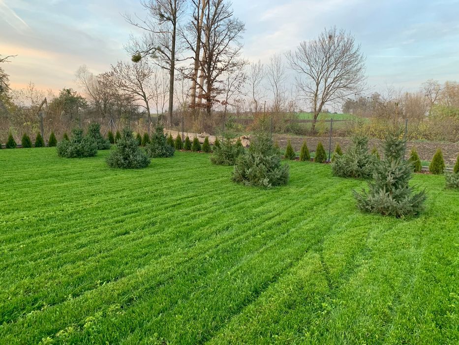 Działka budowlana Winna. Zdjęcie 6