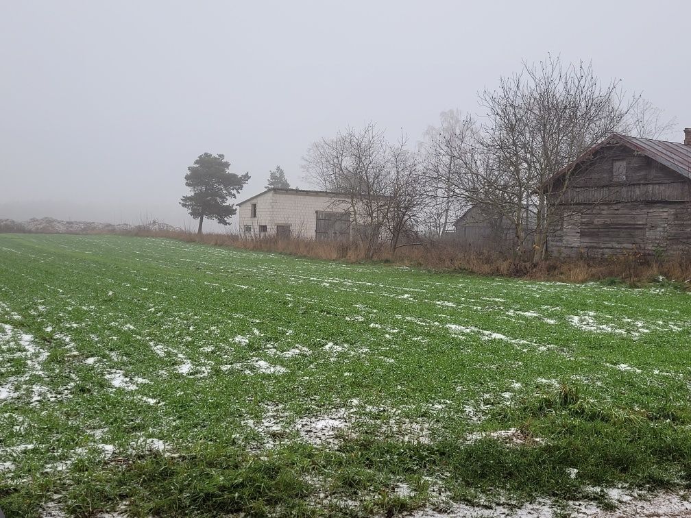 Działka siedliskowa Dąbrowa-Kity