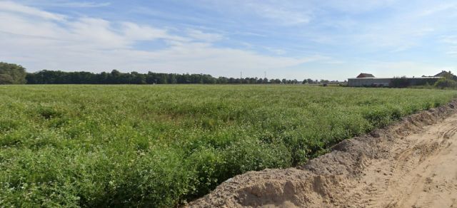 Działka budowlana Chotów. Zdjęcie 2