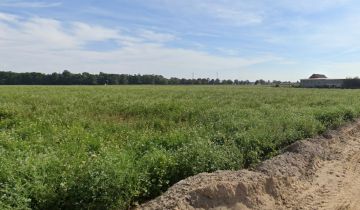 Działka budowlana Chotów