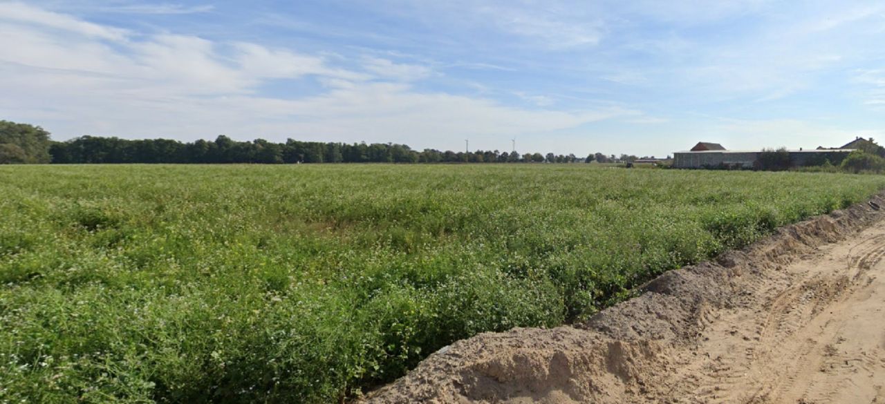 Działka budowlana Chotów. Zdjęcie 2