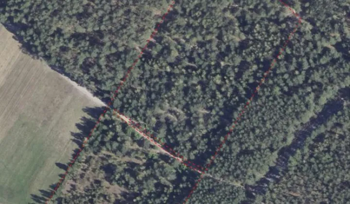 Działka leśna Dąbrówka