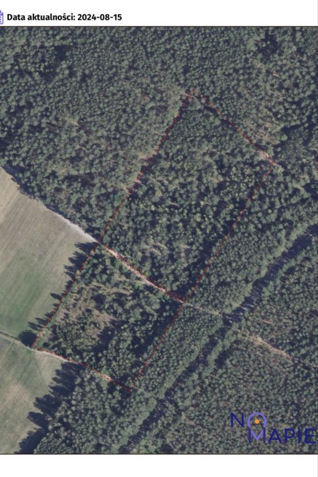 Działka leśna Dąbrówka