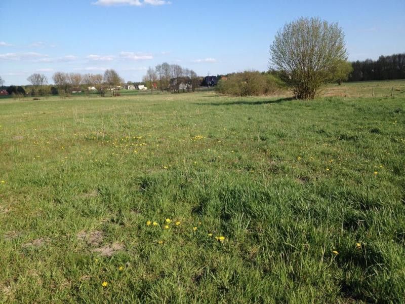 Działka budowlana Osiek. Zdjęcie 4