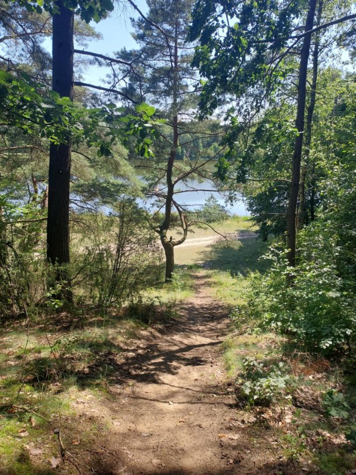 Działka budowlana Machliny. Zdjęcie 2