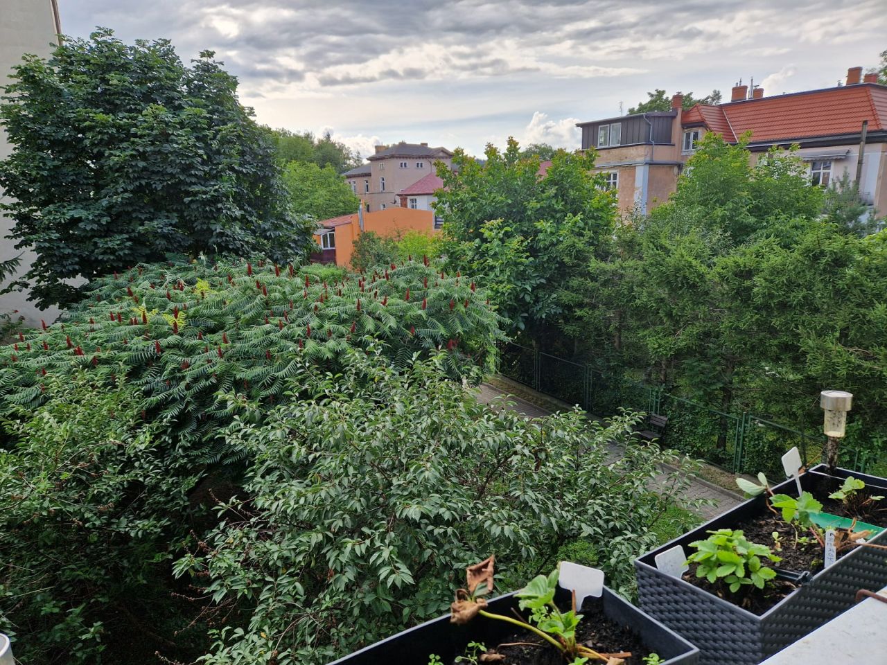 Mieszkanie 3-pokojowe Jelenia Góra Centrum, ul. Cypriana Kamila Norwida. Zdjęcie 5