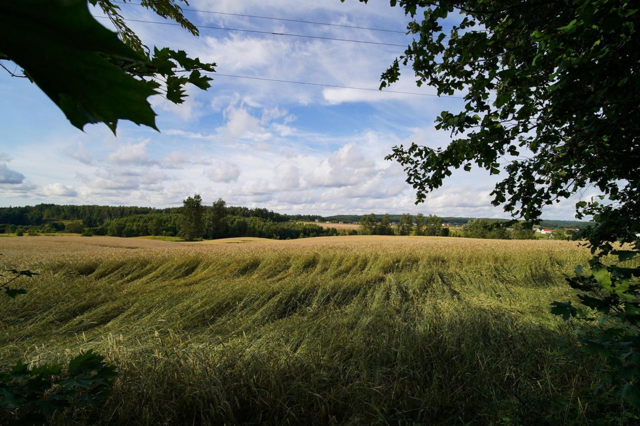 Działka rolno-budowlana Rozłazino Redystowo, Redystowo. Zdjęcie 4