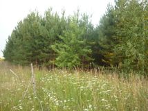 Działka rolna Sokółka, ul. gen. Jana Henryka Dąbrowskiego. Zdjęcie 3