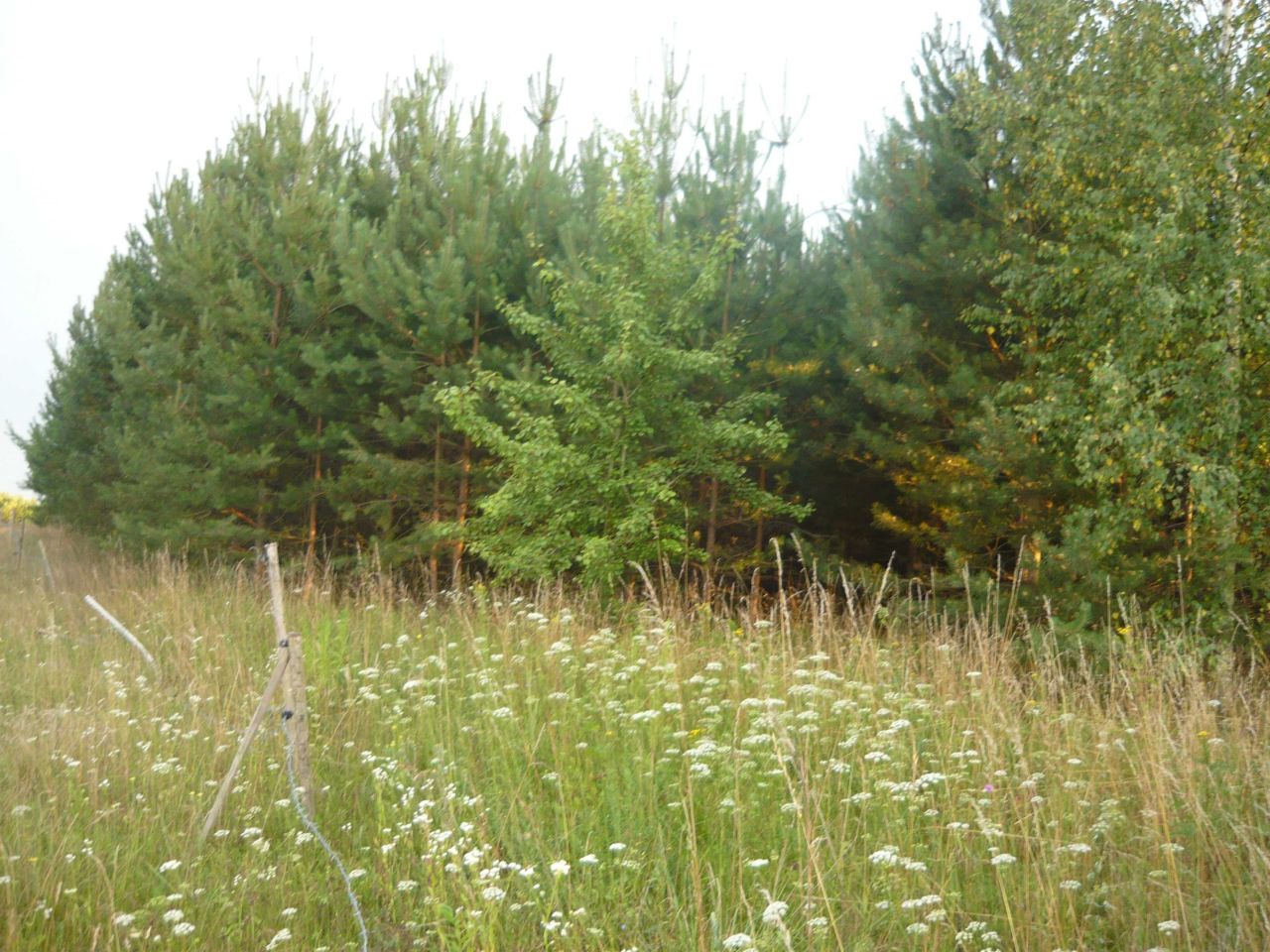 Działka rolna Sokółka, ul. gen. Jana Henryka Dąbrowskiego. Zdjęcie 4
