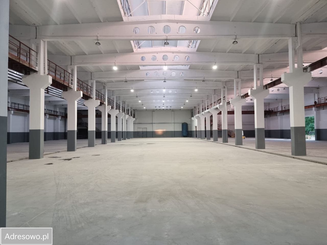 Hala/magazyn Brzesko, ul. Szczepanowska. Zdjęcie 3