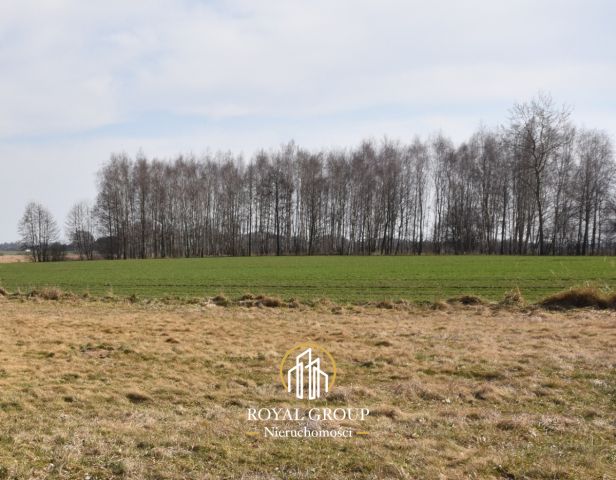 Działka budowlana Kamionka. Zdjęcie 7