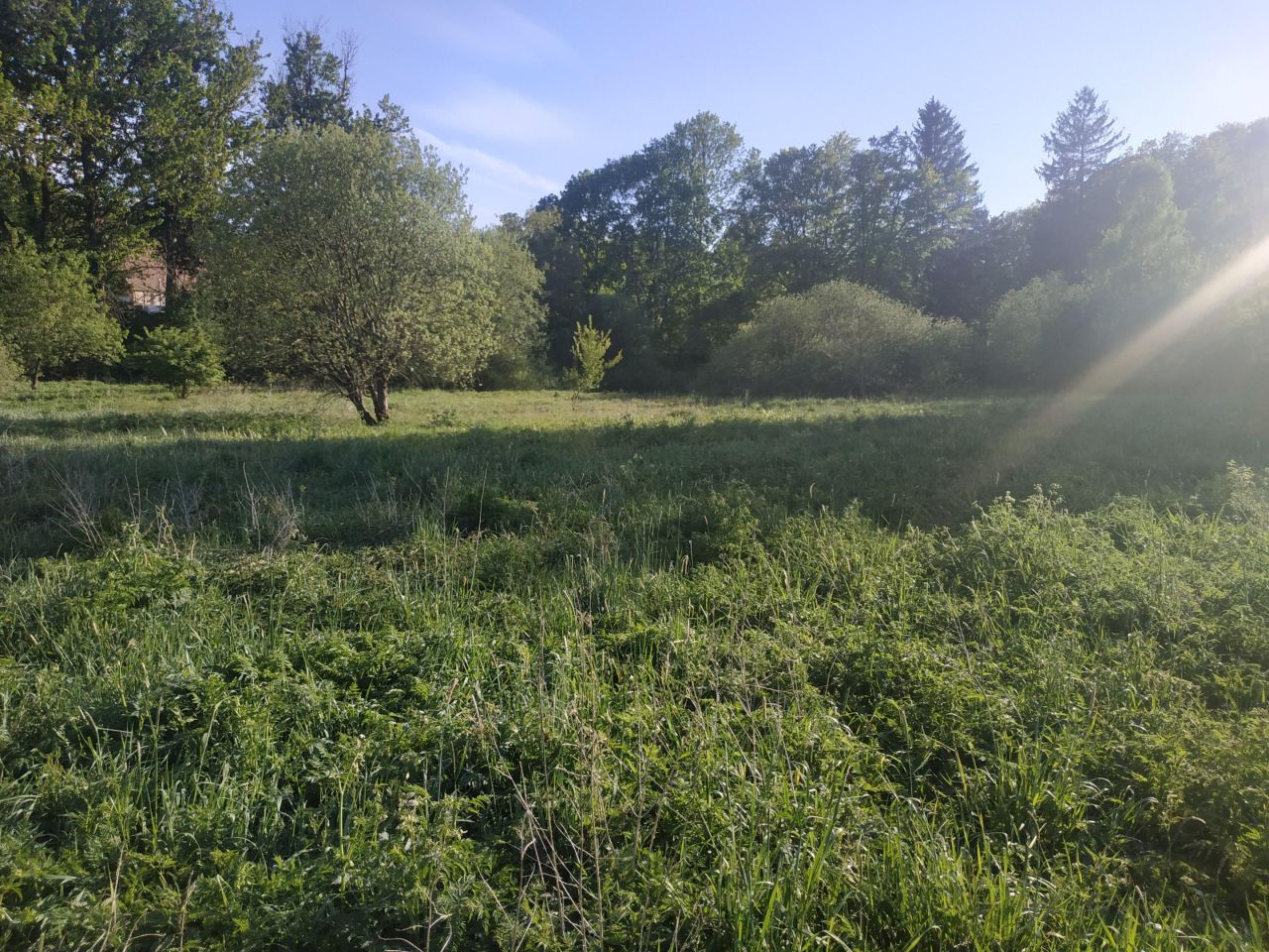 Działka budowlana Pławno. Zdjęcie 2