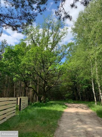 Działka budowlana Stanięcice. Zdjęcie 1