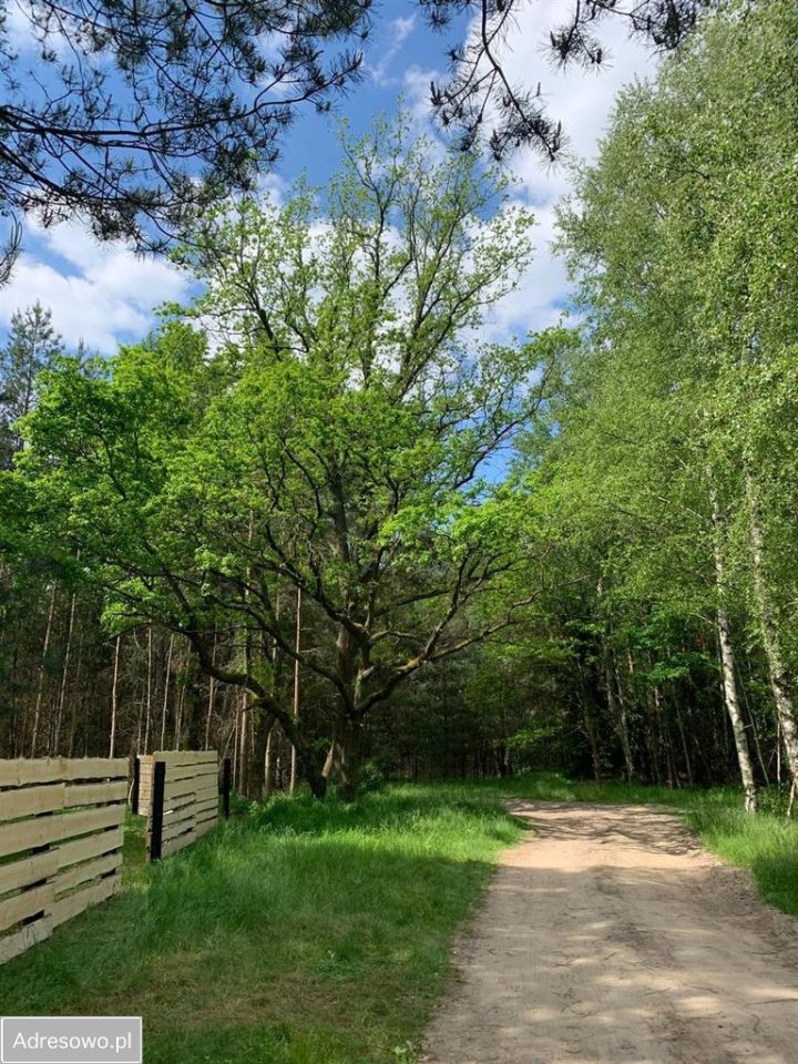 Działka budowlana Stanięcice. Zdjęcie 1