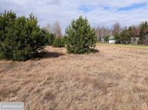 Działka budowlana Śladów. Zdjęcie 1