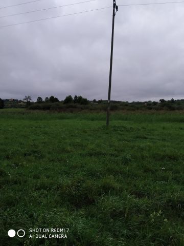 Działka rolna Pawłówek, Łąkowa. Zdjęcie 1