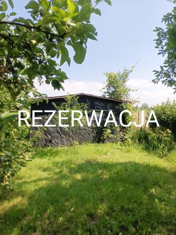 Działka rekreacyjna Piotrków Trybunalski, ul. Wronia. Zdjęcie 1