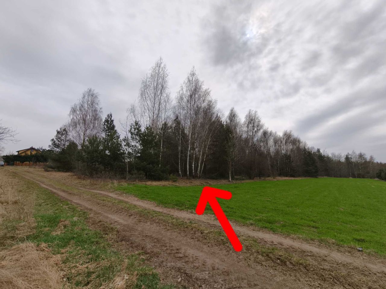 Działka rolno-budowlana Józefów. Zdjęcie 5