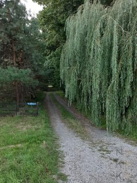 Działka budowlana Siechnice. Zdjęcie 3