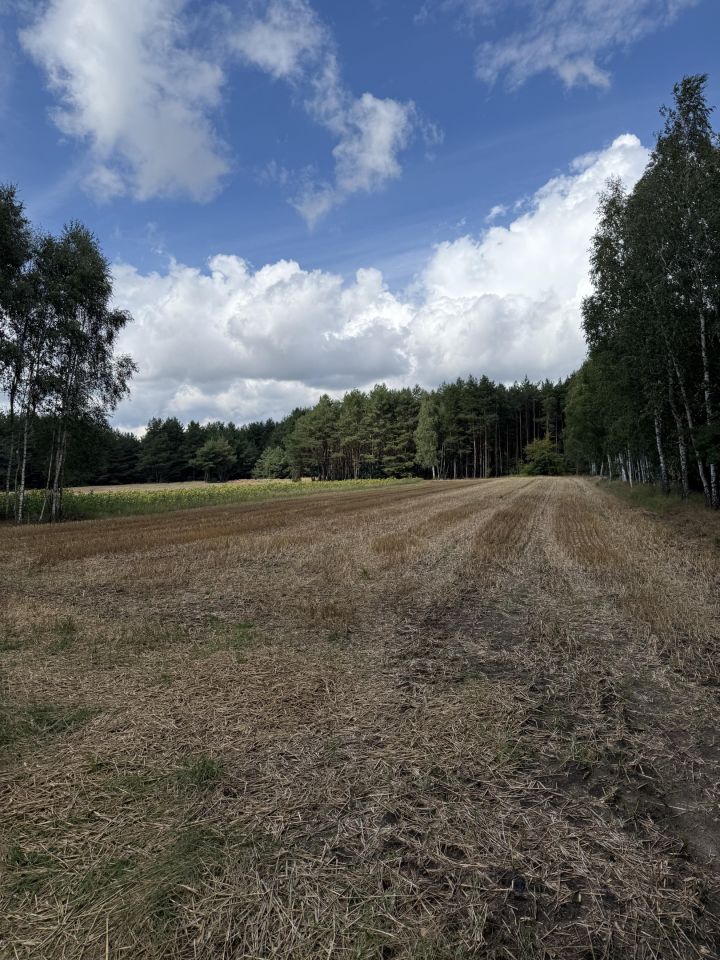 Działka rolno-budowlana Zborów. Zdjęcie 6