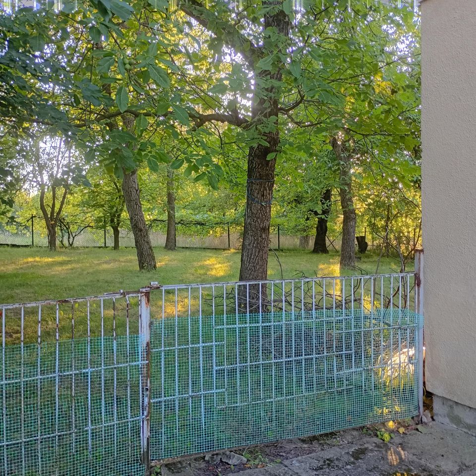 dom wolnostojący Albigowa Honie. Zdjęcie 3